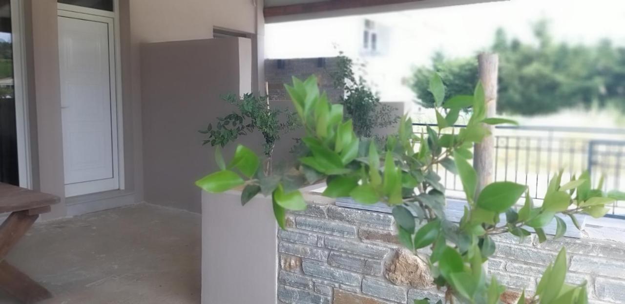 Petries Studios Agioi Apostoloi  Zewnętrze zdjęcie